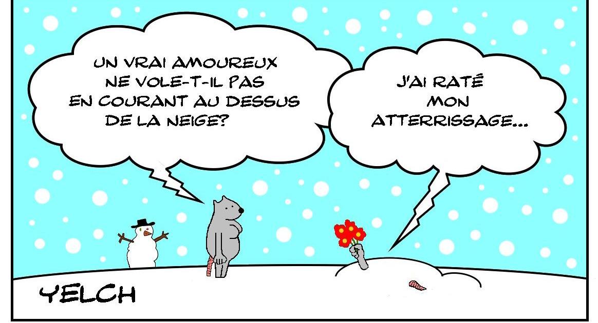 Amour z-ailé