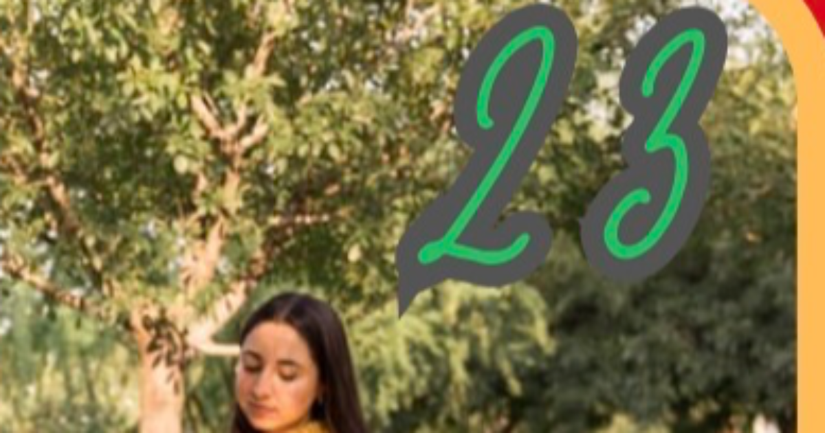 Case 23 : 🌉 Karl et la brume de l’ouest.