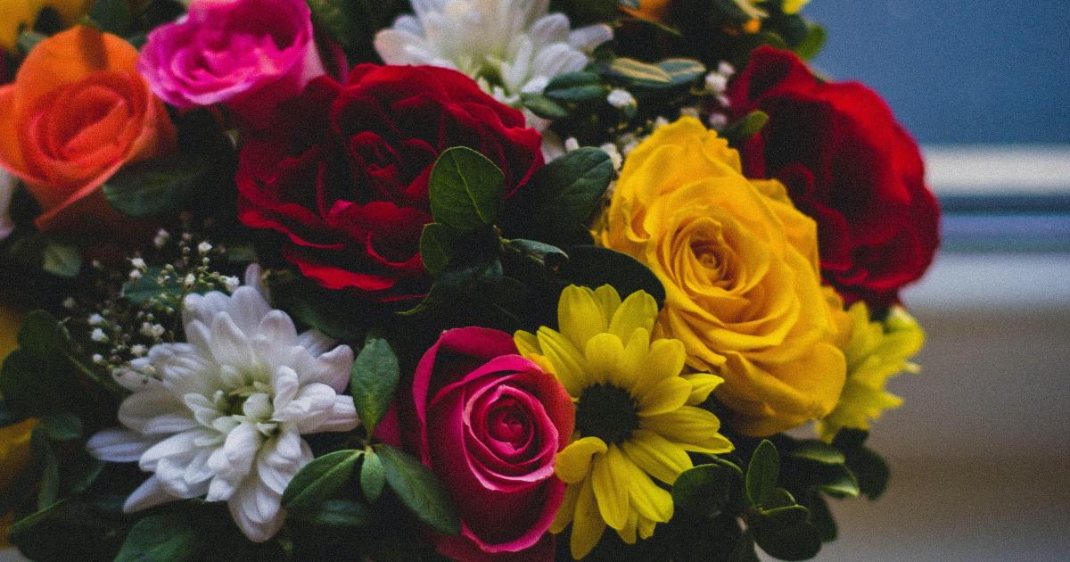 (I, 3) : Le pot aux roses