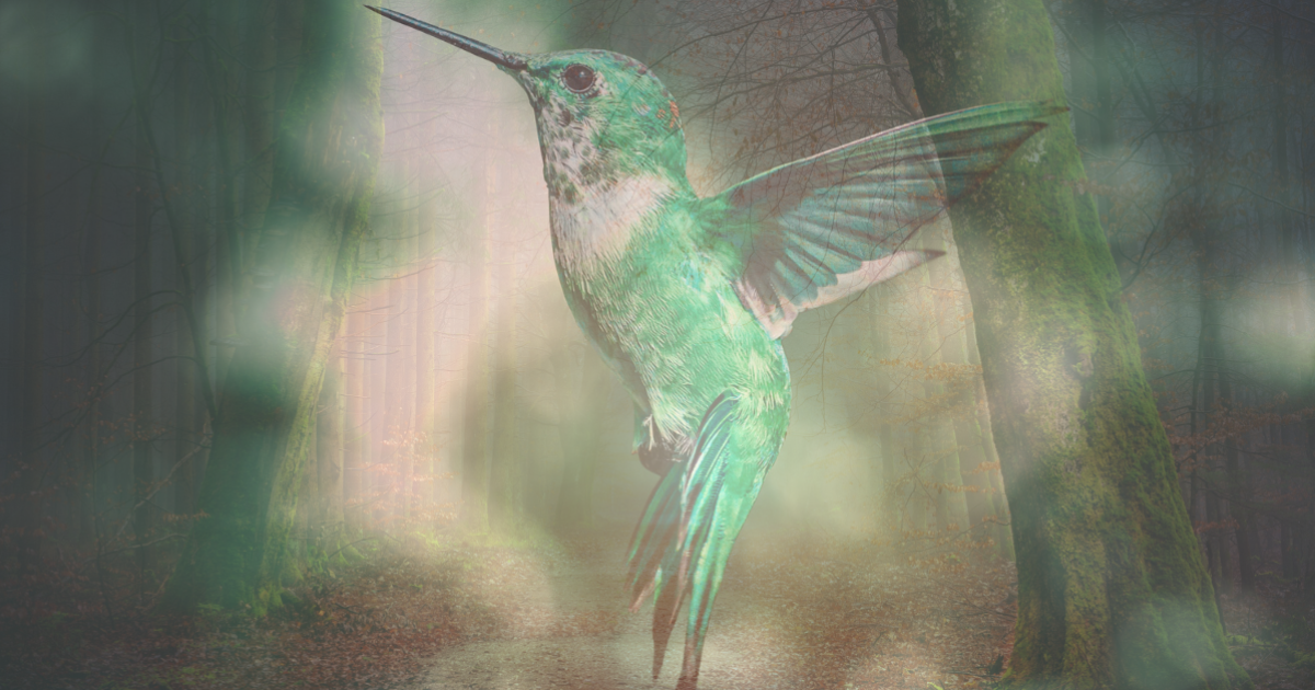 Les oiseaux