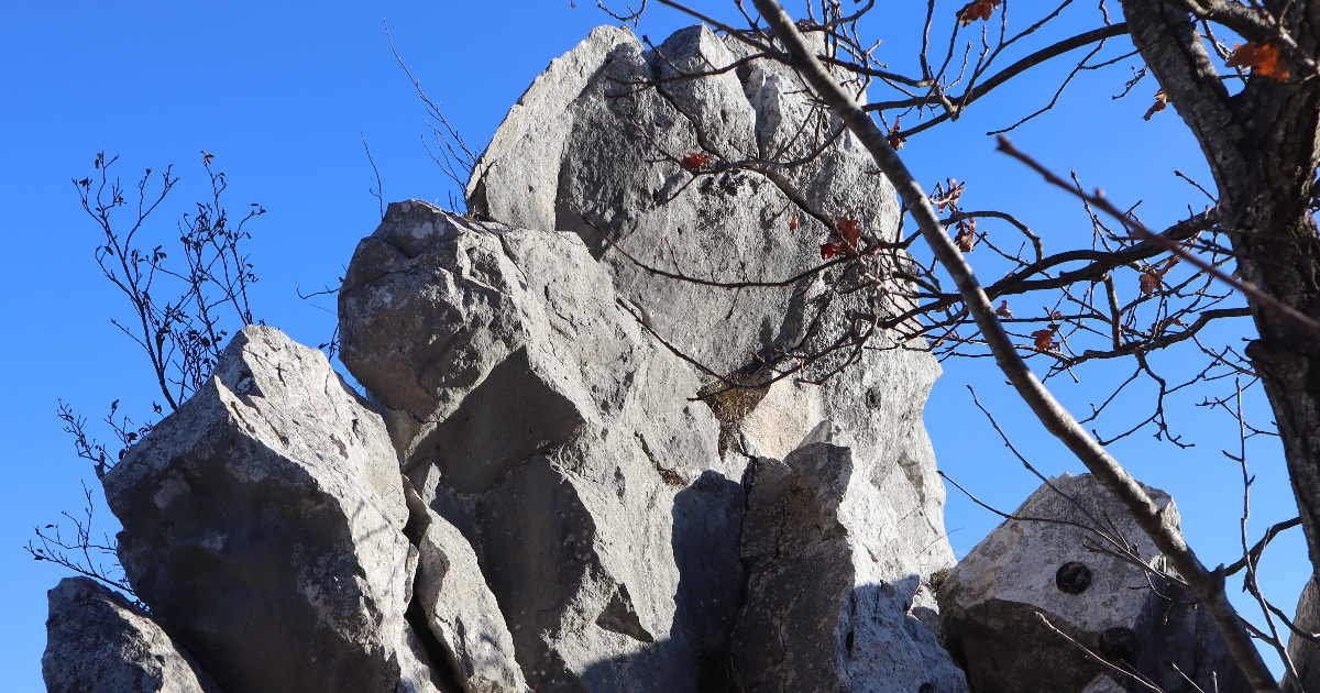 Deux Mondes : La Discrépance Fondamentale entre la Préservation Numérique et l'Économie de l'Attention Éphémère