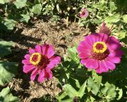 Le jardin du 8 Septembre