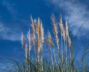 Réserve de la biosphère d'Urdaibai Vallée et estuaire de l'embouchure de Mundaka-Gernika