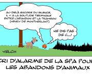 Abandons d'animaux