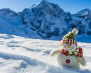 L'enigmatique surfeur des neiges