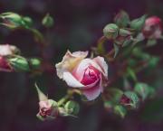 au soleil du mois de mars