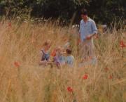 Le Bonheur (Agnès Varda, 1965)