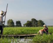 La crise agricole dans le Delta du Mékong