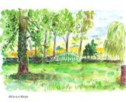 Ailly sur Noye