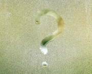 Épisode 6 : Une question de milieu ?