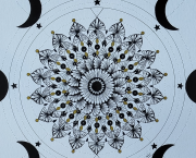 Le miroir des astres