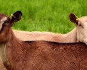 Jour 5  - 27/11/2018