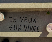 Vivante