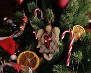 Mon beau sapin, roi du salon