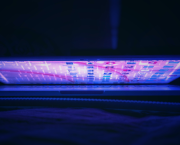 Un’applicazione concreta del principio di eguaglianza e illegalità