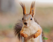 Ma Liasse de Billets d'Humeur