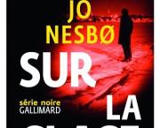 Du sang sur la glace