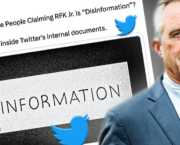 FOLLY ARGUMENT AND TOWARDS NEW INVESTIGATIONS : THE COVID19 CASE.