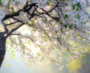 Le poème du renouveau