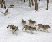 UN POUR TOUS, TOUS POUR UN