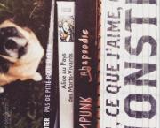 C'est décidé, je les sors de ma PAL ! #8