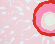 Conception