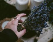 Je me souviens d'Elsa