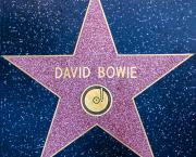 David Bowie - Une folle fraternité