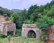 Chapitre 34 - Un coup pour rien