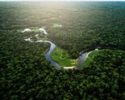 Il fallait survivre, Chronique du roman éponyme de Lucie Dequatremare