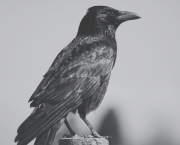 Bienvenue en Haute-Satire