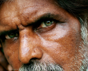 Regard