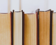 Quatrième de couverture