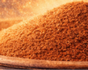 Chapitre 4 – Le piège