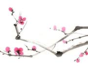 РЕЗУЛТАТИ ОТ ШЕСТИЯ МЕЖДУНАРОДЕН КОНКУРС ЗА ХАЙКУ „ВИШНЕВ ЦВЯТ“ –  22;THE SIXTH INTERNATIONAL HAIKU CONTEST “CHERRY BLOSSOMS” – 2022 – awards