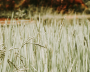 La malédiction des tombeaux - Partie 1