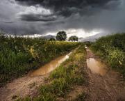 Un air de grisaille dans la tête...
