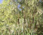 Le jardin du 8 Juillet