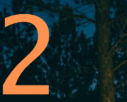 Case 2: 💫 La lueur au cœur des arbres