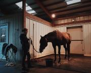 Ecurie Kevyn Thonnerieux : Nos partants samedi à Cagnes-sur-Mer
