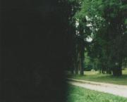 A History of Wickedness/TheMartyrdom of Saint Appolonia (a poem)