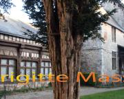 Une maison du XVIe siècle d'Harfleur est située à Fécamp