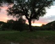 Poétique de la réalité face à l'illusion.