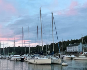 Ordonnance recette de suprême de dinde sauce Irreductibles (que Platon les pardonne, Aristote les fit marcher et Adam naquit à jeun)