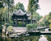 NO CHOICE : SPEAKING OUT (Remedy to Covid19 (Mafia-Sect- [insane]Plan) - Nous n'avons pas d'autre choix que de parler contre le covid (la secte mafieuse avec son plan [ma