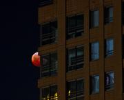 Les fenêtres d'en face (I)