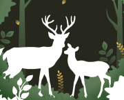 Az igazi szerelem plátói?