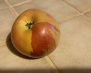 Une pomme créative