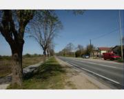 Réaménagement de la RD 190 entre Carrières-sous-Poissy et Triel-sur-Seine : le projet du département fortement critiqué par l’Autorité environnementale