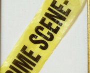 Vain Mystifications, Still Deceitful Act